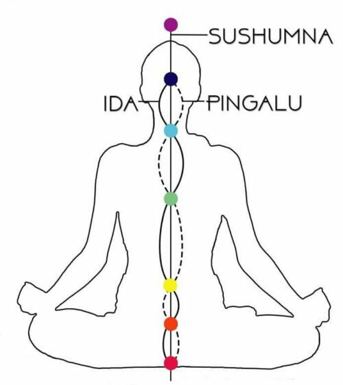 Os Sete Chakras Guia Completo L Yogateria