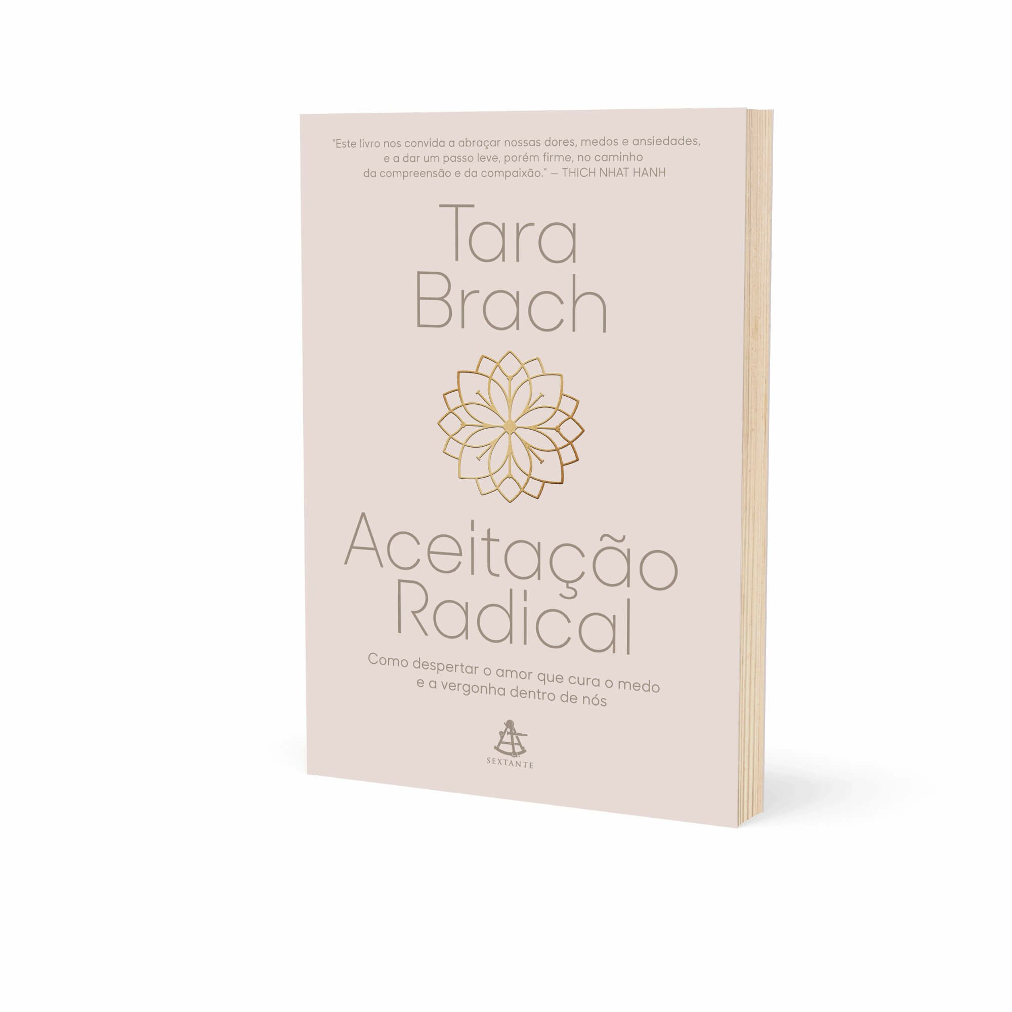 Livro-aceitacao-radical-yogateria