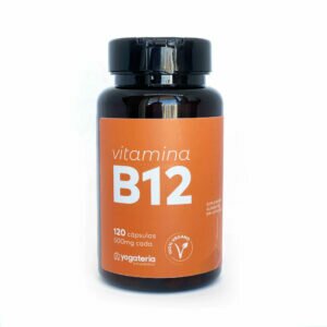 b12-yogateria-05