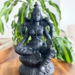 estatua-lakshmi-preta-yogateria-1