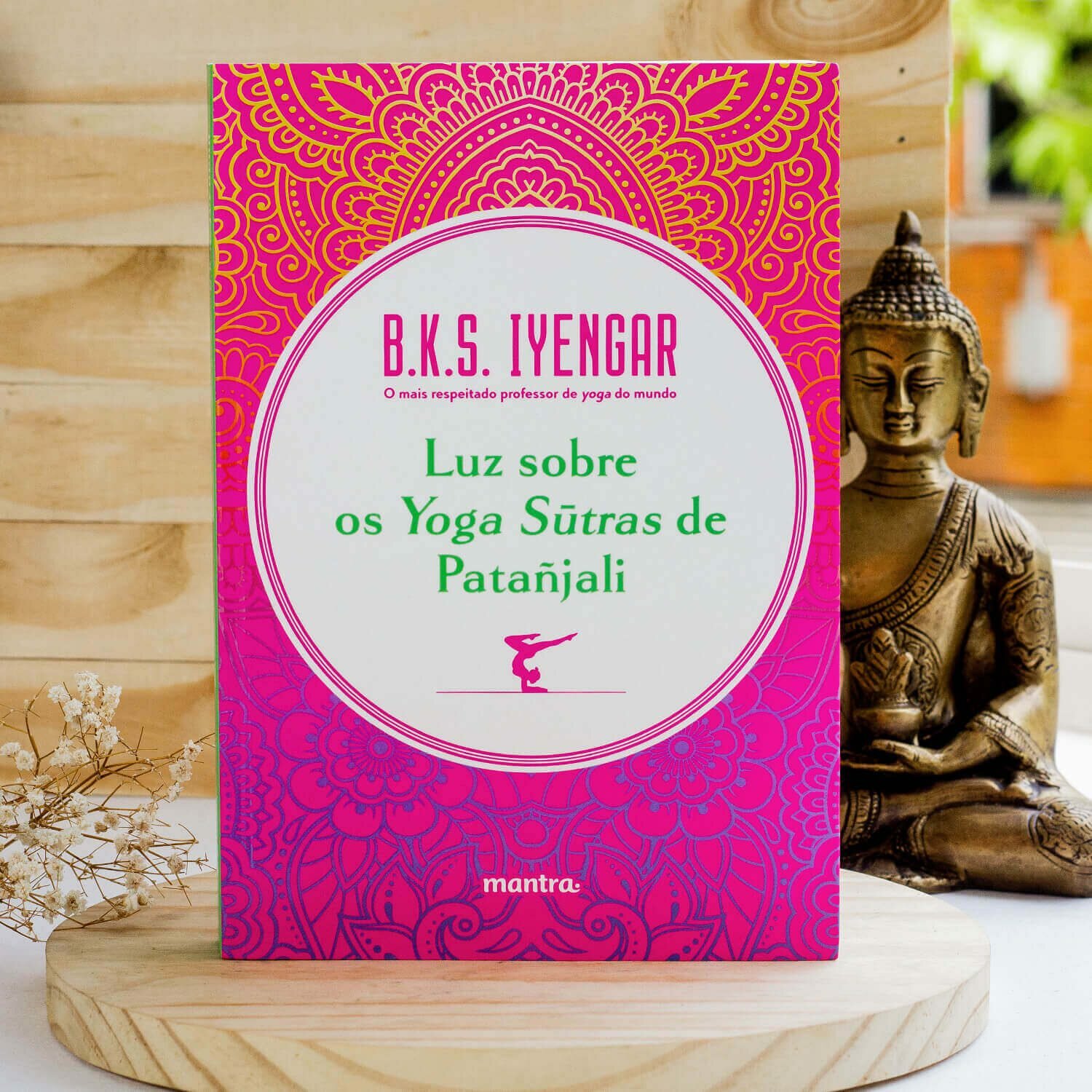 Livro - O Coração do Yoga 6