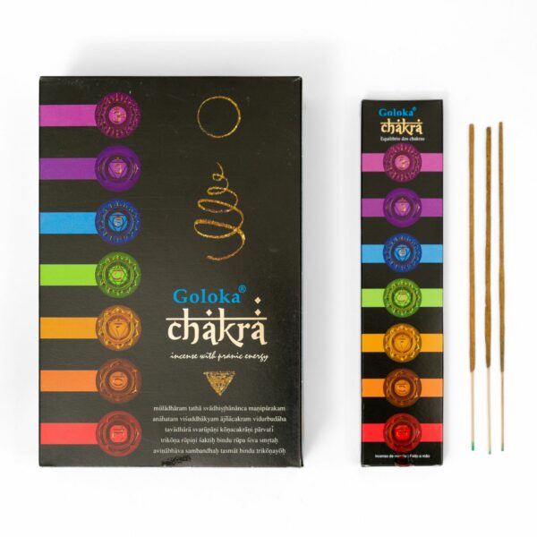 Os 7 chakras - Guia completo para equilibrar o corpo e a mente 4